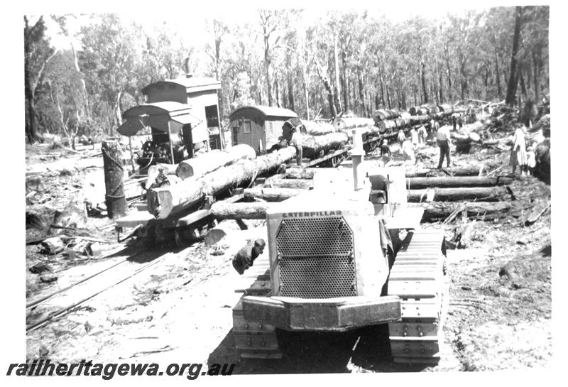 P07069
Bush landing, Asquith, Banksiadale line, shows Caterpillar tractor, loaded rake of timber wagons
