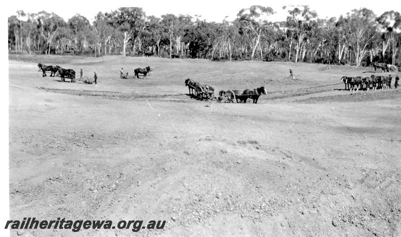 P07311
7 of 32 photos of the construction of the railway dam at Hillman, BN line, excavation from S.E. corner, shows horse teams at work
