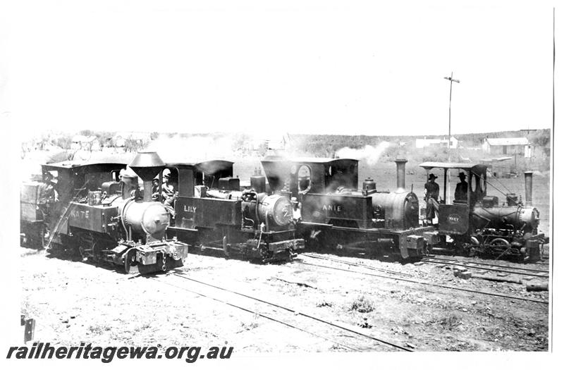 P07692
Lancefield Goldmine locos, 