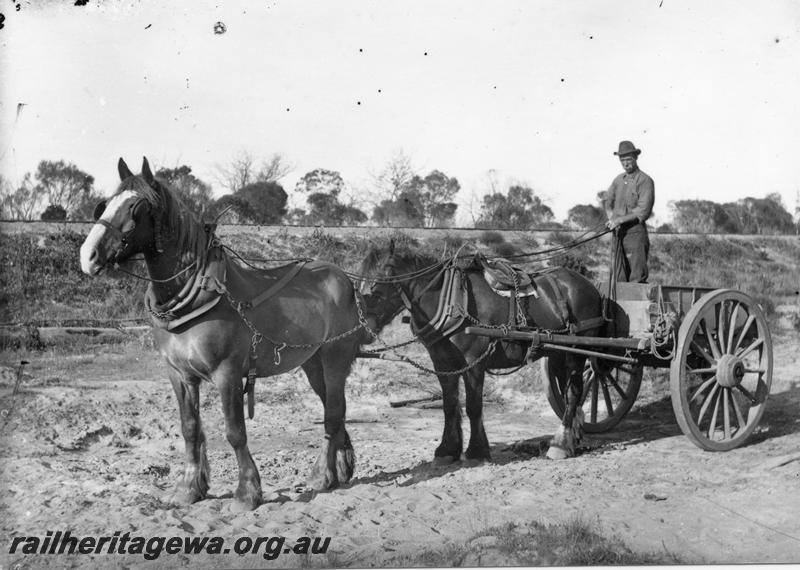 P07815
Two horse team hauling dray used for railway construction
