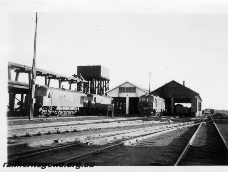 P07925
X class locos, XA class, loco shed, elevated coal stage, loco depot, Kalgoorlie, EGR line
