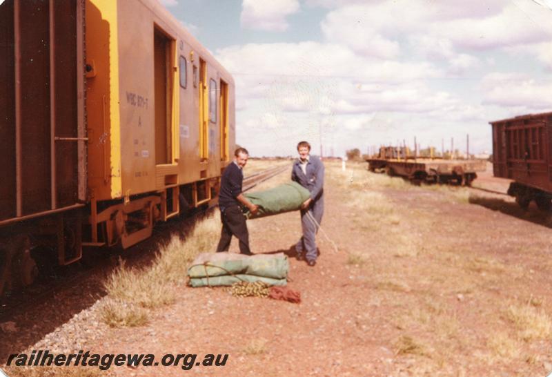 P07940
WBC class standard gauge brakevan, Leonora, tarpaulins being unloaded. KL line
