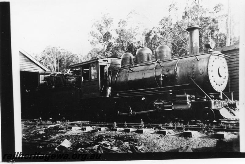 P07954
Millars loco 