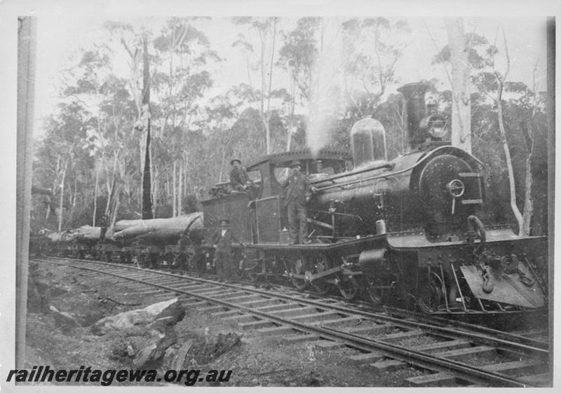 P07975
Millars loco 