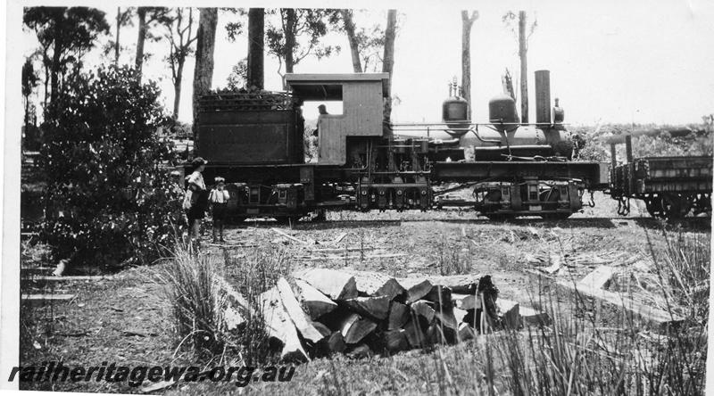 P08048
Millars Shay loco at Kirup Mill, side view. Same as P4638 but better quality
