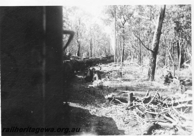 P08058
Millars loco No.72, log train, out of Yarloop, view from the end of the train
