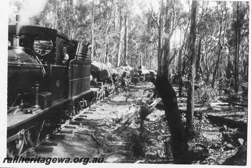P08059
Millars loco no.72, log train, out of Yarloop, view from the front of the loco. c1950s
