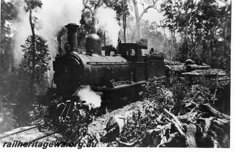 P08063
Adelaide Timber Co. loco No.71, East Witchcliffe, hauling log train in bush
