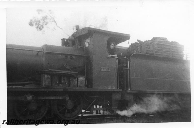 P08066
Kauri Timber Co. loco 