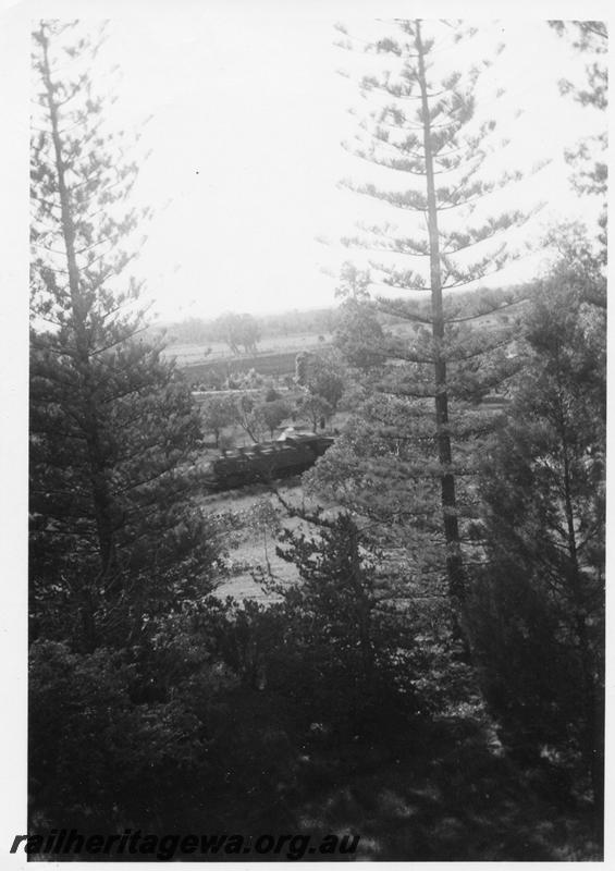 P08077
DD class or DM class loco, Hamel, SWR line, distant view of the loco from within the pine plantation
