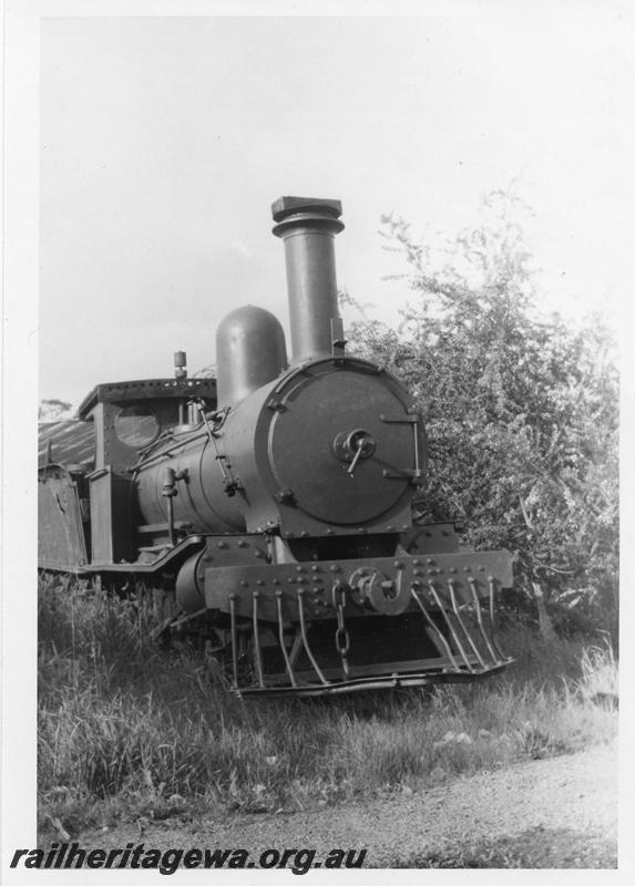 P08091
Adelaide Timber Co. loco No.71, East Witchcliffe, side and front view. Stowed with cover over the chimney
