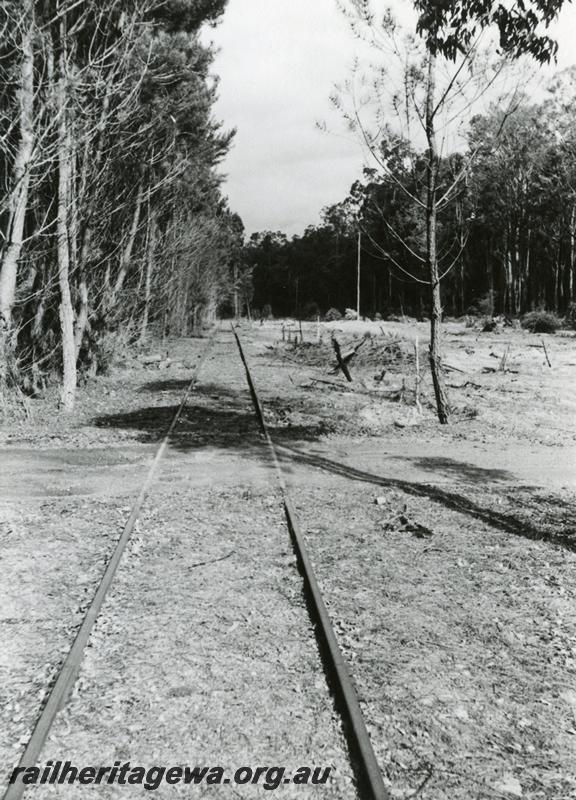 P08115
Abandoned track, Inglehope, PN line. view along track.
