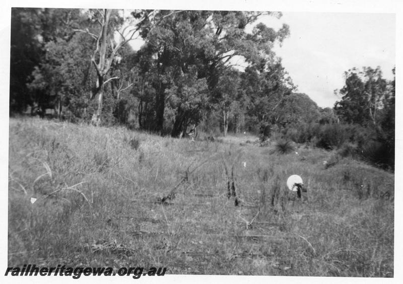 P08139
Overgrown and abandoned track, point lever, Yarloop bush line, view along track
