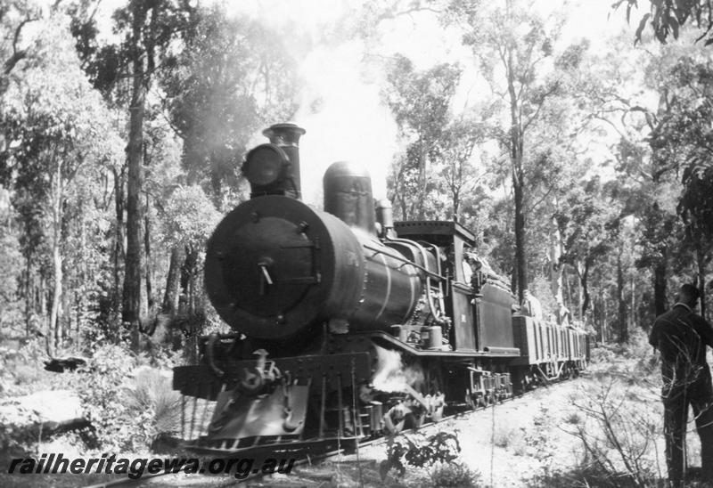 P08159
Bunnings loco No.176, Donnelly River, front and side view, ARHS tour train
