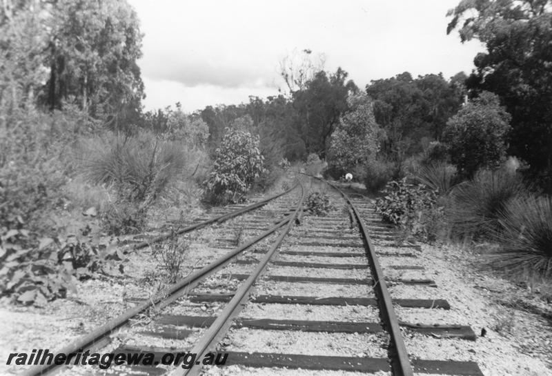 P08160
Abandoned and overgrown track, Banksiadale, view along track
