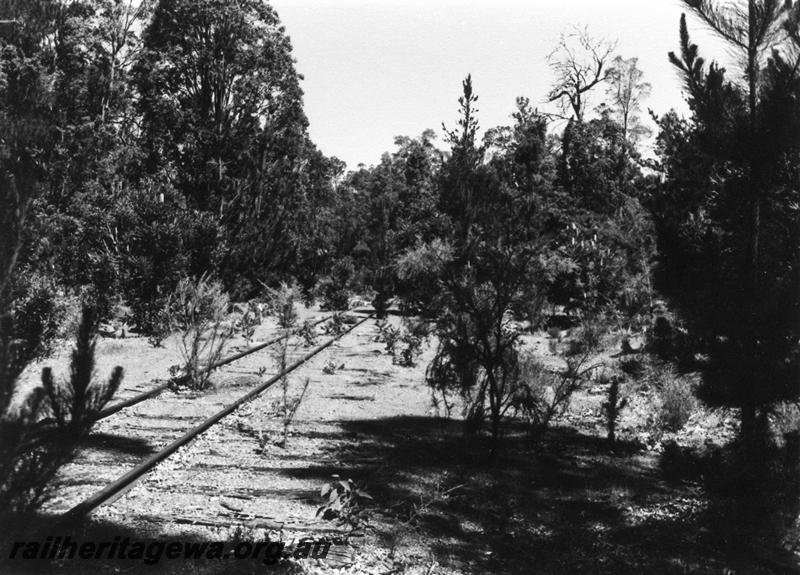 P08165
Abandoned and overgrown track, location Unknown, view along track
