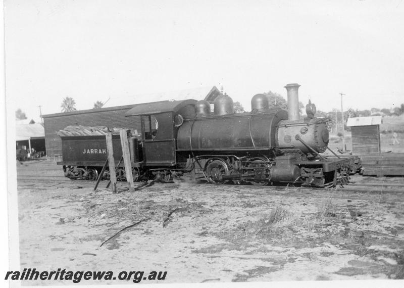 P08196
Millars loco 