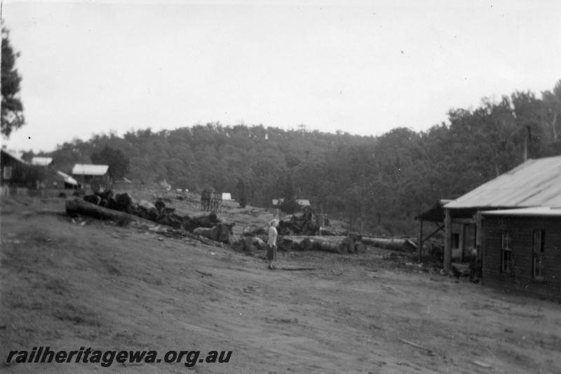 P08256
Millars Nanga Brook mill, Saw doctors building on the right. Log skids with the train water tank in the centre background.
