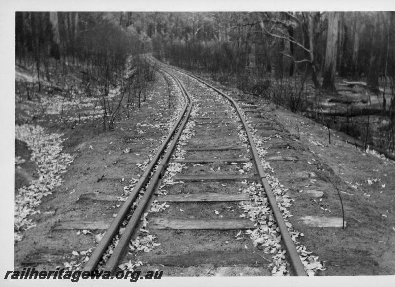 P08262
Track distorted from effects of bushfire, Boranup on the closed Flinders Bay line, BB line
