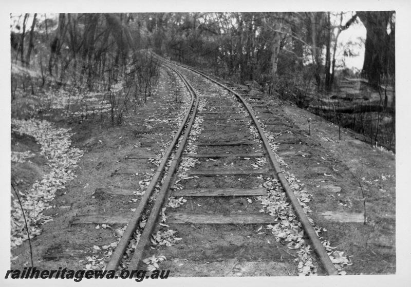 P08263
Track distorted from effects of bushfire, Boranup on the closed Flinders Bay line, BB line
