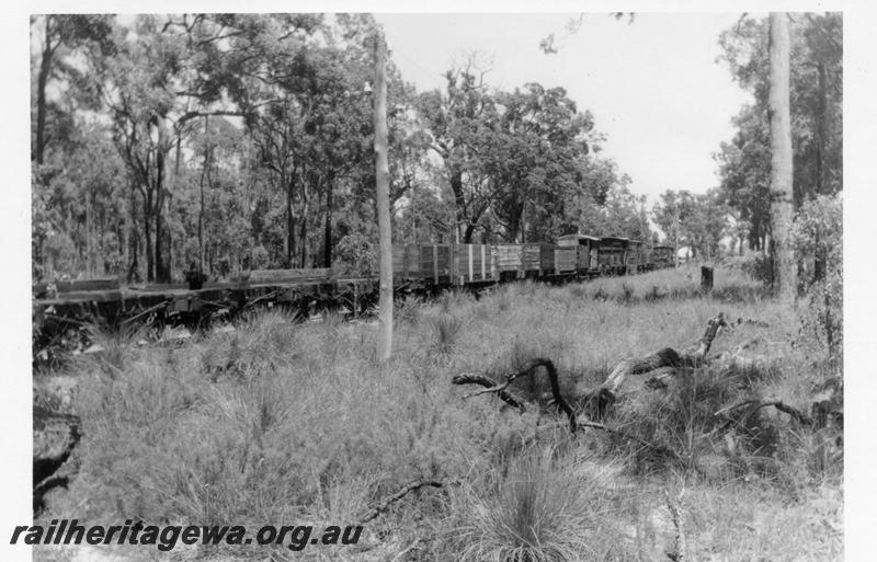 P08274
Millars wagons, stowed, Yarloop
