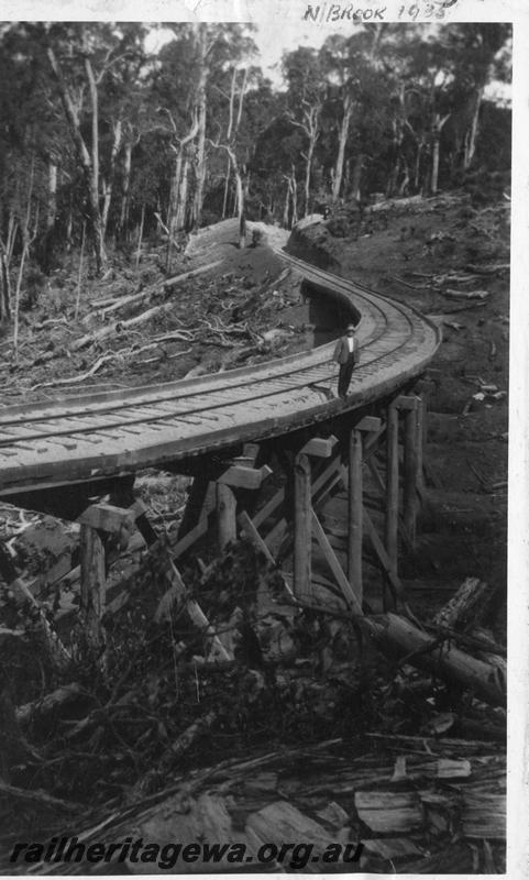 P08301
Trestle bridge, curved, on the Yarloop to Nanga Brook line near Yarrigal Brook, 
