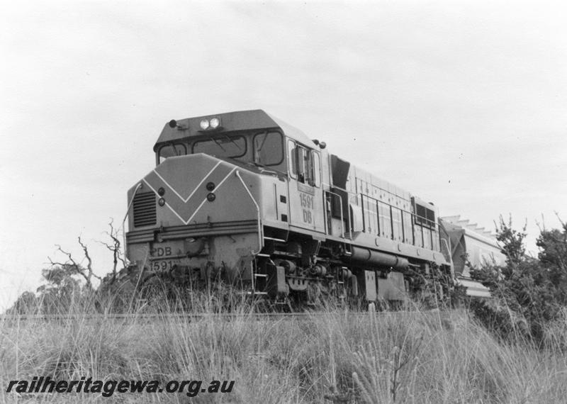 P08311
DB class 1591 