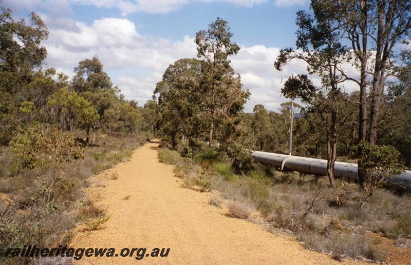 P08347
Abandoned railway formation, Mundaring Weir line, MW line, view along formation, pipeline on the left hand side
