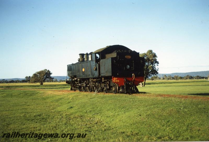 P08360
DD class 596, Isandra, PN line, on ARHS tour train, side and end view.
