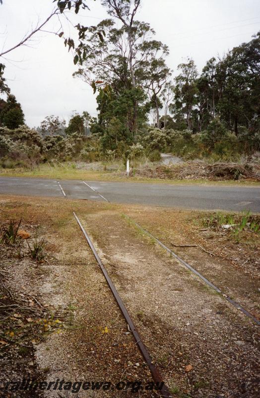 P08378
Overgrown and abandoned track leading into mill. Northcliffe, PP line, view along track across road
