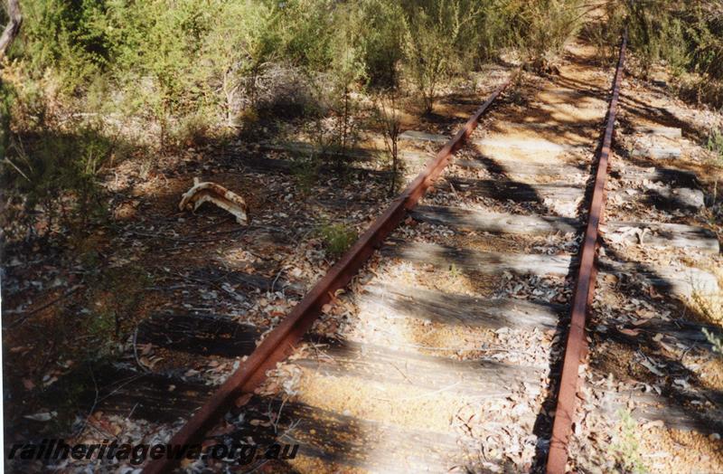P08383
Siding, Claymore, WN line, Jarrahwood end, site of points, scotch block still in place.
