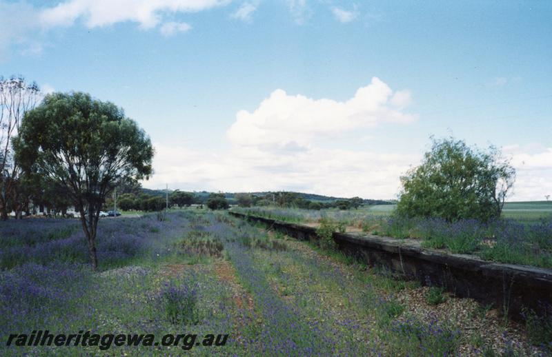 P08475
Spencers Brook, platform, abandoned, view from old down main, ER line.
