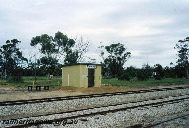 P08554
Muntadgin, out of shed, Westrail nameboard, view from rail side, NKM line.
