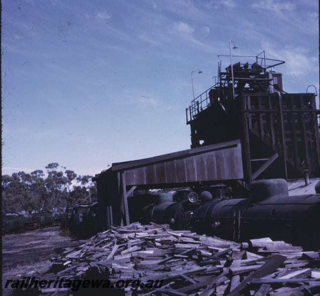 P08843
5 of 5 views of locos located at the Narrogin loco depot, GSR line. Lines of stowed locos, W class 959, W class 915, W class 909, PM class 708, PM class 705, pile of light up wood in front of the coaling stage
