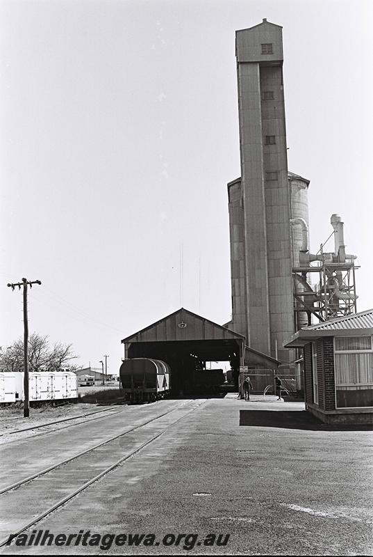 P09079
GSW class hopper wagons in the unloading bay of the wheat silo, Bunbury wharf area, end on view
