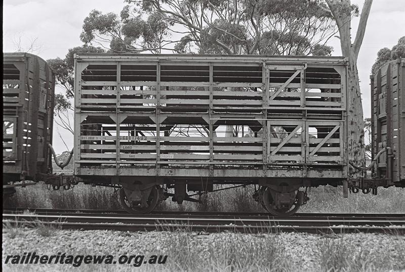 P09140
CXB class 17493 sheep wagon, side view
