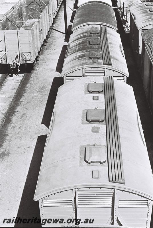 P09145
DC class wheat wagons, view of the roofs showing the hatches
