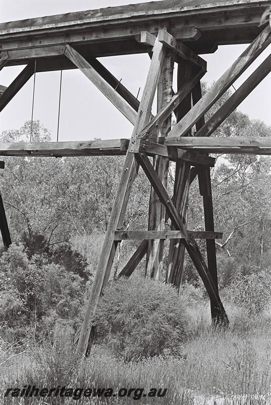 P09207
6 of 8 views of the MRWA style trestle bridge over the Moore River at Mogumber, MR line, view of the central span where it joins the rest of the bridge
