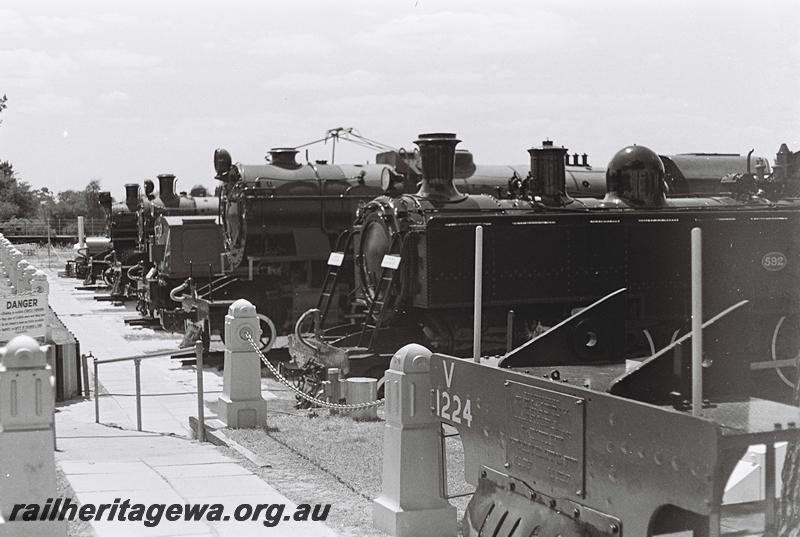 P09237
Rail Transport Museum, Bassendean, view from the platform along the front of the rows of locos
