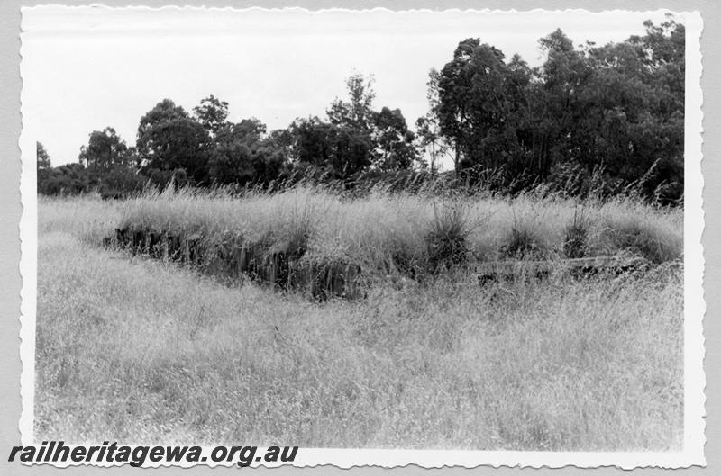 P09419
Vasse, remains of loading ramp. BB line.
