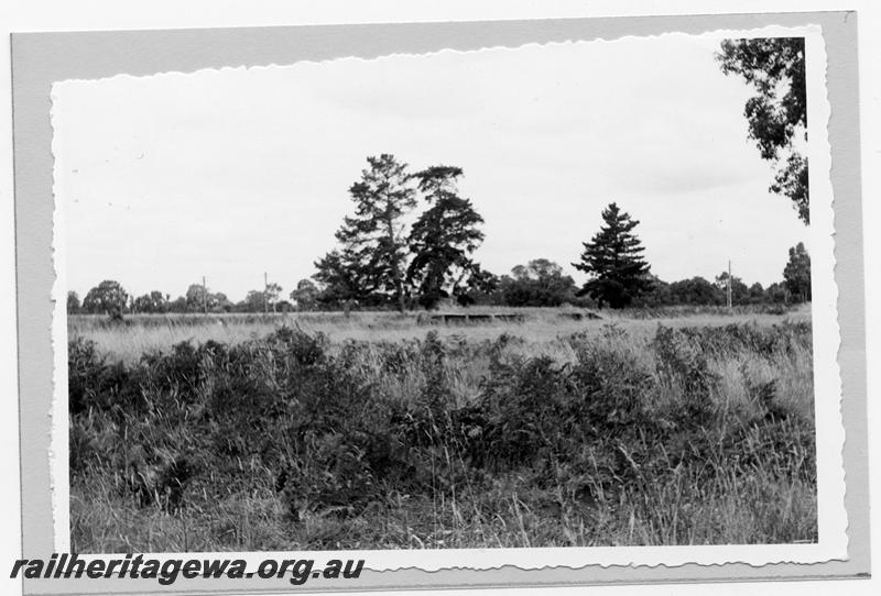 P09428
Marybrook, loading ramp, distant view. BB line.
