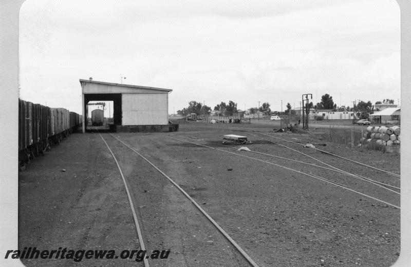 P09509
Meekatharra yard, goods shed, gantry beyond goods shed, wagons in yard, scotch blocks. NR line, same a P11159
