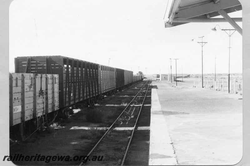 P09522
Station platform looking north, X class at head of train in loop, down home signal visible in distance. Mount Magnet, NR line. Same as P11137
