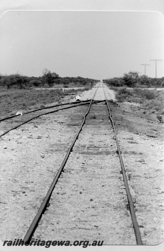 P09525
Loop points, looking west, cheeseknob on points, buckled track. Wagga Wagga, NR line.
