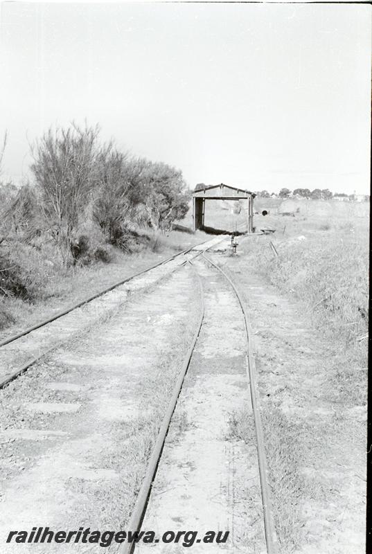 P09544
Track going through a shelter, tunnel mouth in background, Maylands Brickyards, view along track.
