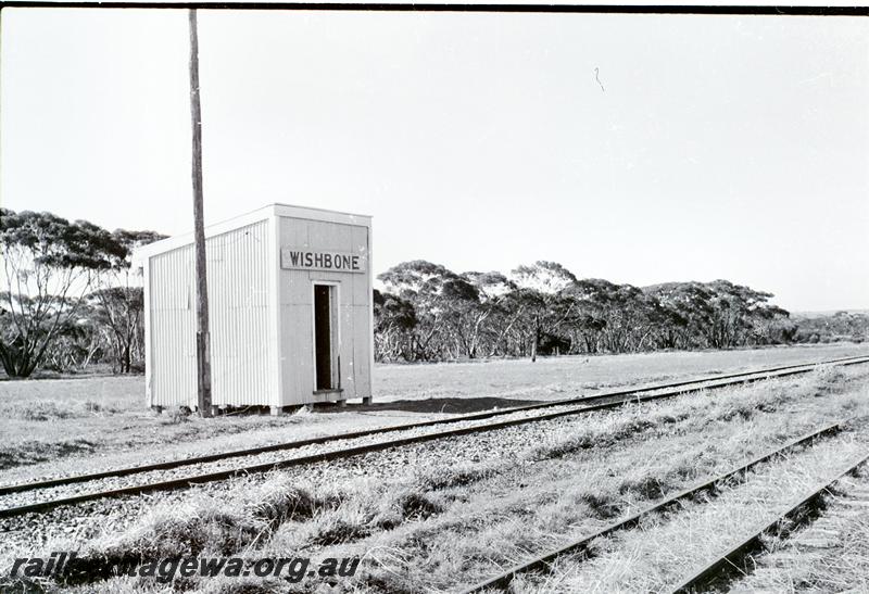 P09549
Out of shed, Wishbone, WLG line, trackside view
