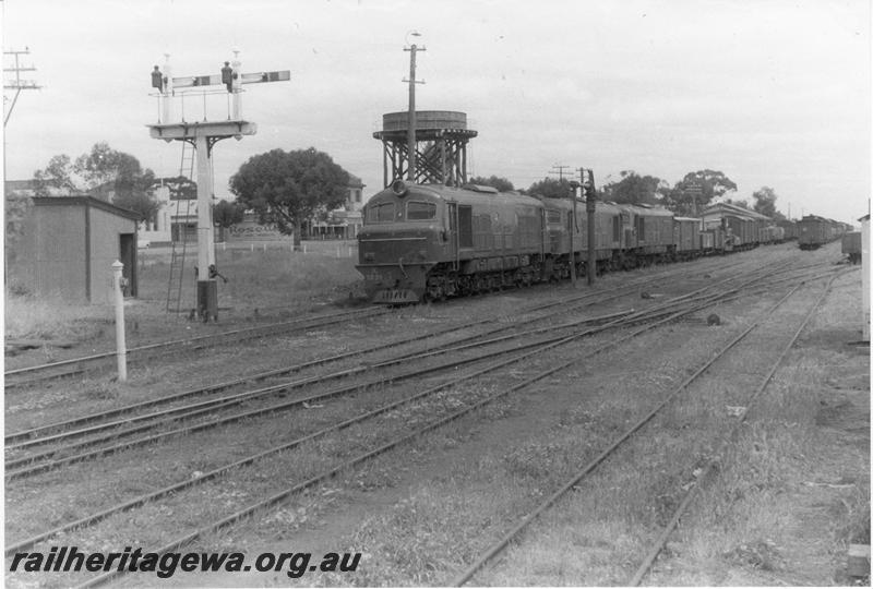 P09568
Triple headed X classes led by X class 1031 