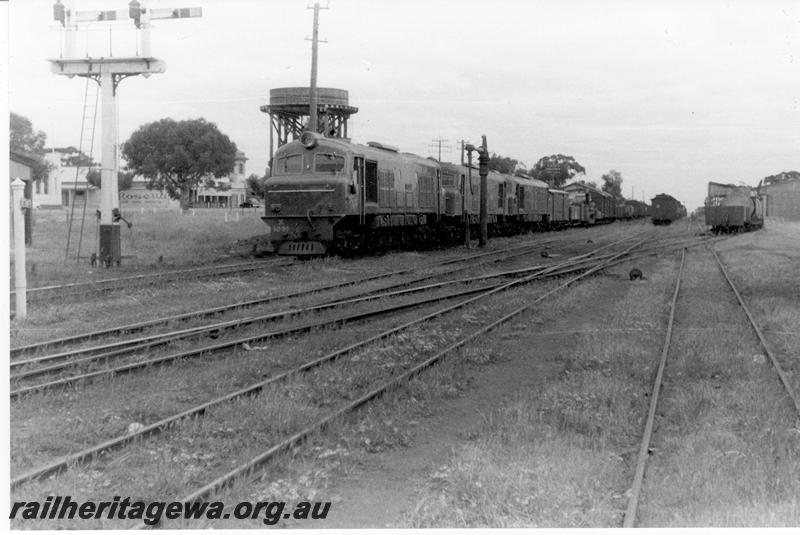 P09569
Triple headed X class led by X class 1031 