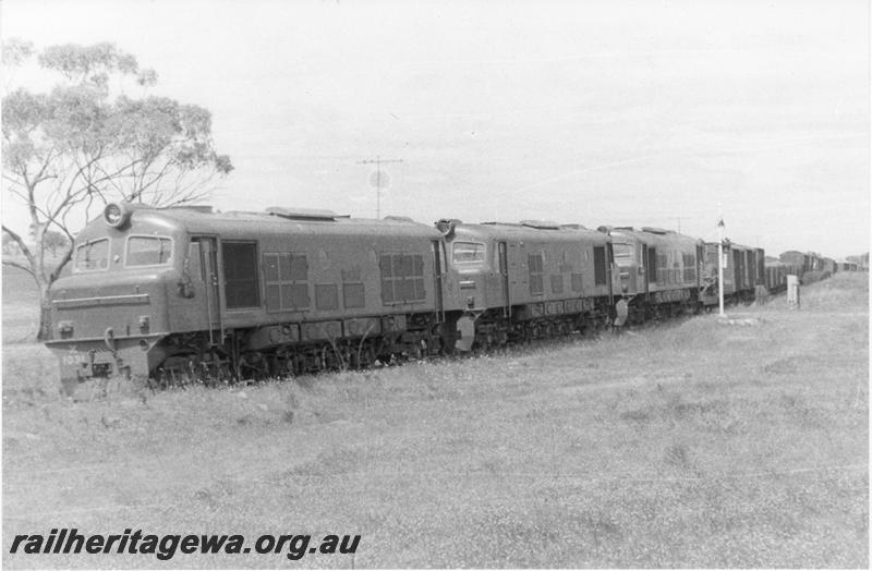 P09572
Triple headed X classes led by X class 1031 