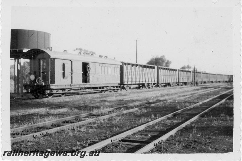 P09578
ZA class brakevan trailing a train of TA class bogie cattle wagons, circular water tower, Unknown location.
